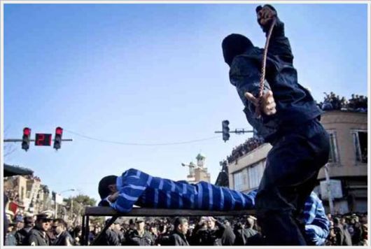 List Of The Most funnypics Shoplifted Items